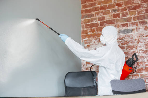 Professional Mold Removal in Jonesville, LA