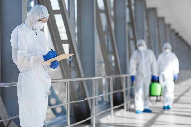 Best Mold Odor Removal Services  in Jonesville, LA